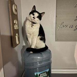 Meet your Posher, Dylan